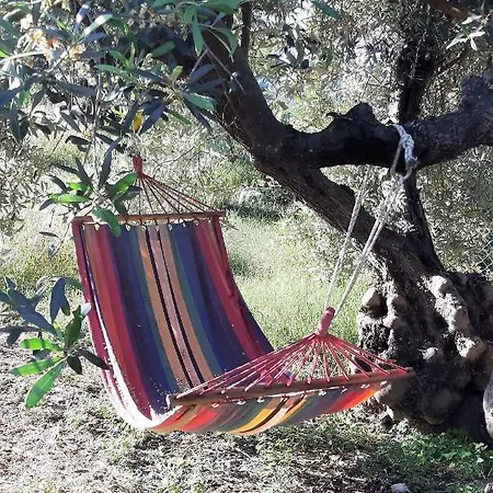 Appartement & Kolymbia